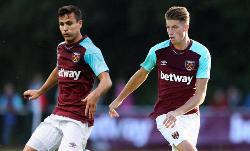 合本土文化 合本土文化